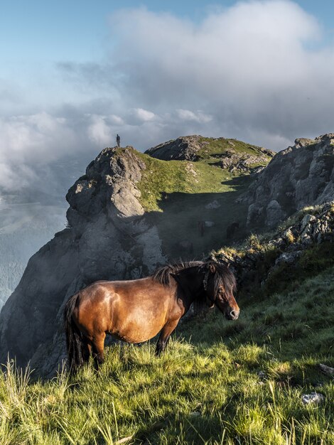 Caballo marrón pastando en la montaña Penas de Aya en Oiartzun, Gipuzkoa, España