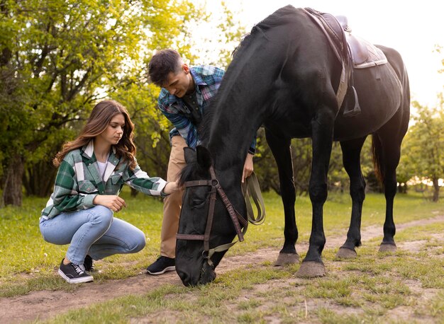 Caballo y pareja de tiro completo