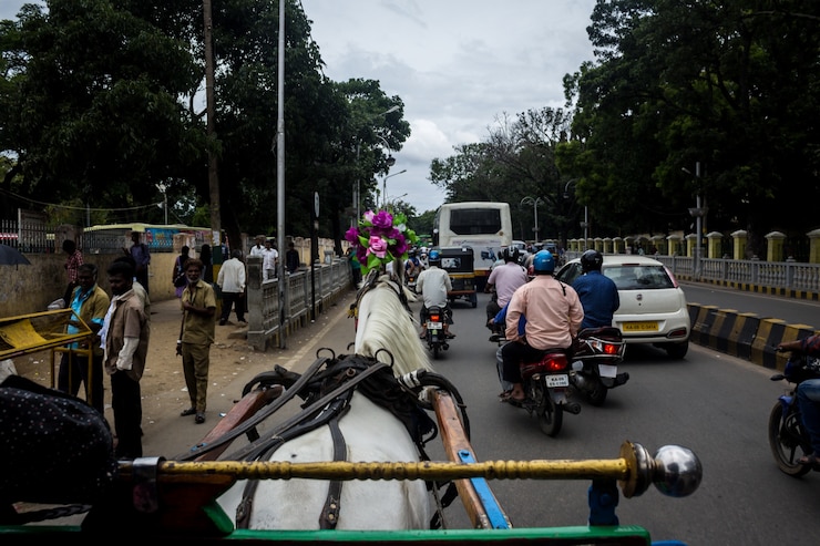 Foto gratuito caballo tirando de un carro por la ciudad