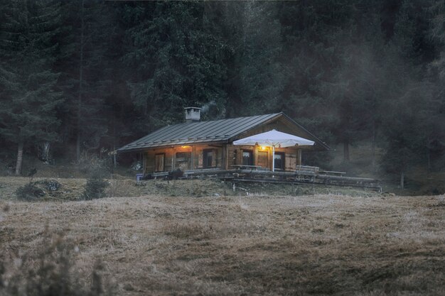 Cabaña por un bosque con textura de superposición de niebla