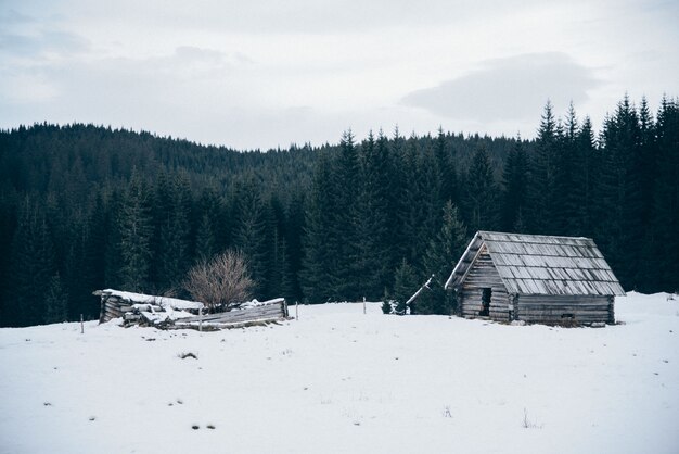 Cabaña de madera en campo cubierto de nieve