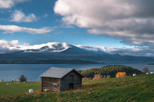 Cabaña de madera en un hermoso campo junto a un lago tranquilo durante el día