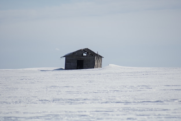 Foto gratuita cabaña de madera individual en invierno durante el día