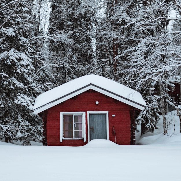 Cabaña roja en un bosque nevado