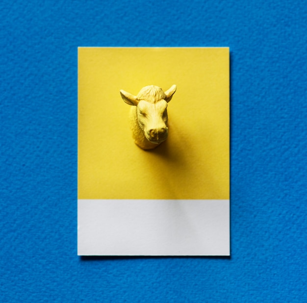 Cabeza de toros amarillos sobre papel