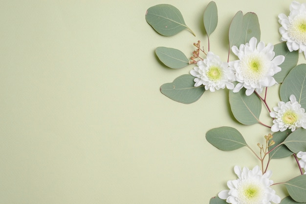 Foto gratuita cabezas de flores en hojas verdes