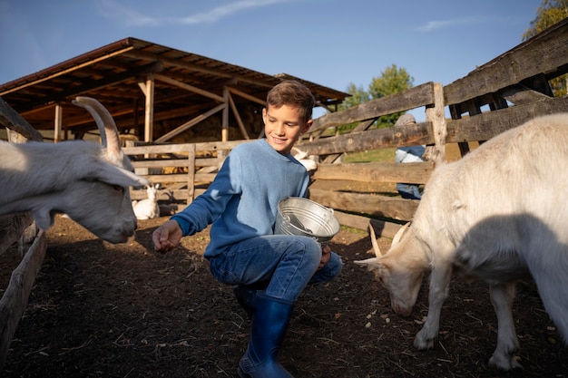 Foto gratuita cabra de alimentación de niño de tiro completo