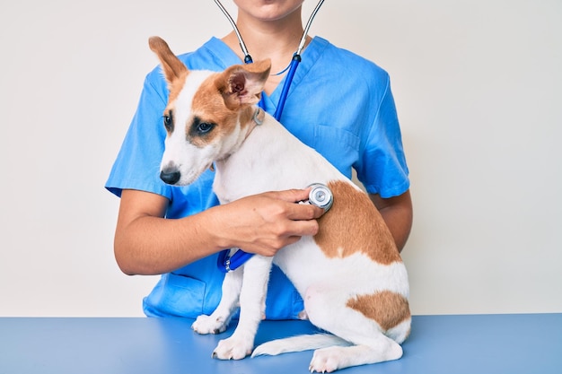 Cachorro joven en el veterinario que va a un chequeo de salud profesional que examina al perro con estetoscopio