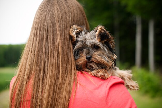 Cachorro de yorkshire terrier en brazos de mujer