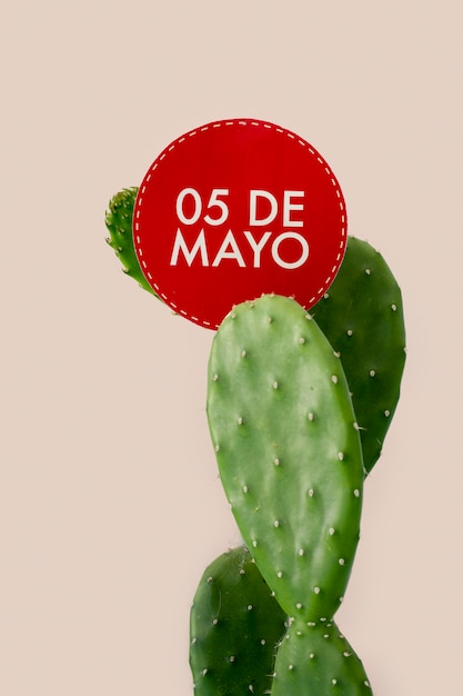 Cactus y 5 de mayo firman fiesta mexicana