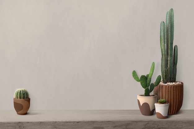 Foto gratuita cactus en un estante por un fondo de pared en blanco