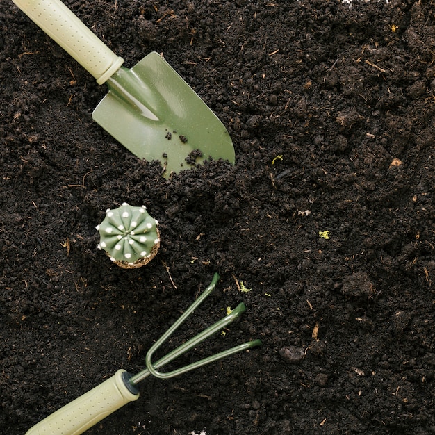 Cactus falso y herramientas de jardinería sobre suelo negro.