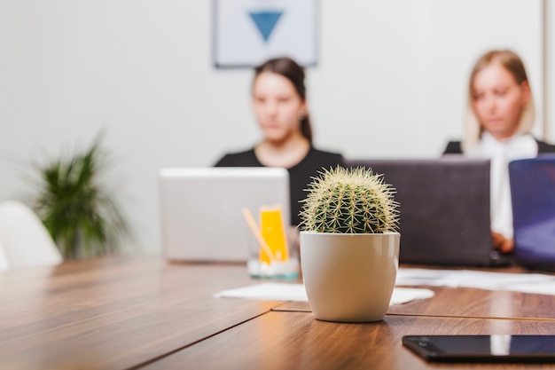 Foto gratuita cactus en la mesa de la oficina