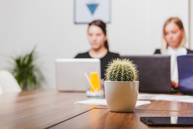 Cactus en la mesa de la oficina
