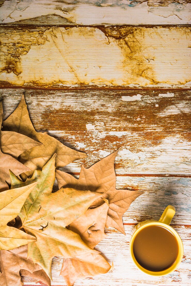 Foto gratuito café cerca de hojas secas