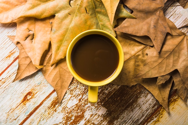 Foto gratuita café fresco en hojas