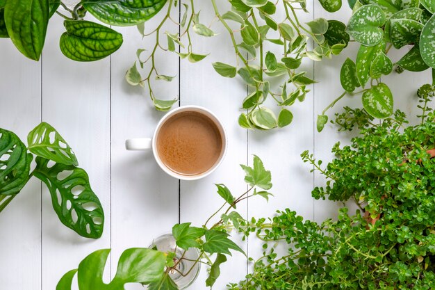 Café de la mañana con fondo de plantas de interior