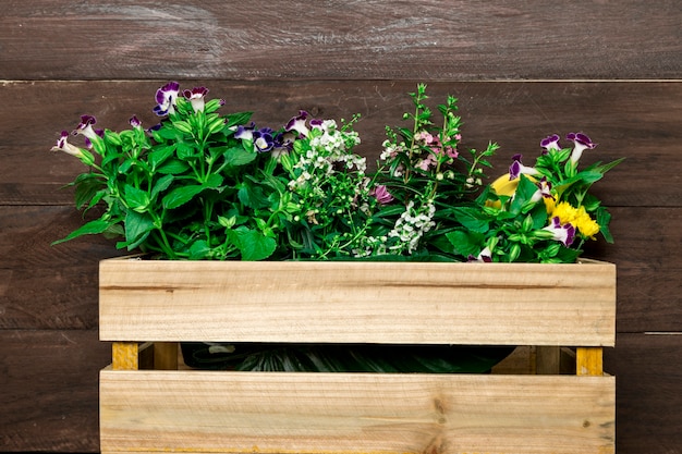 Caja de madera con flores de jardín.