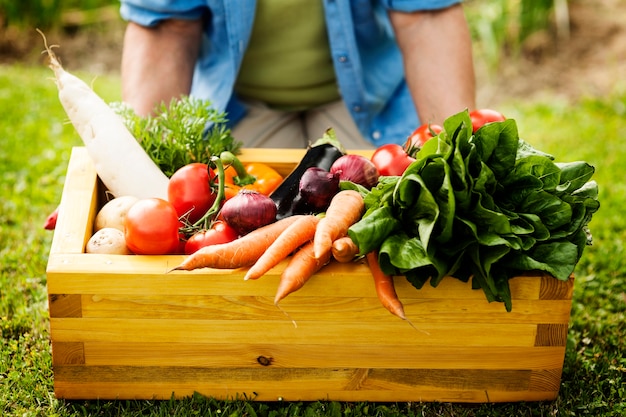 Caja de madera llena de verduras frescas