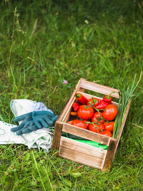 Caja de madera con verduras frescas en la hierba verde