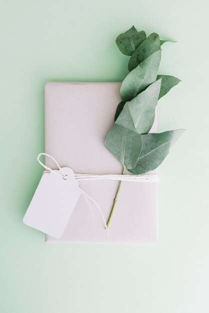 Caja de regalo blanca envuelta con etiqueta en blanco y ramita sobre fondo pastel