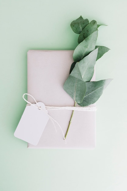 Caja de regalo blanca envuelta con etiqueta en blanco y ramita sobre fondo pastel