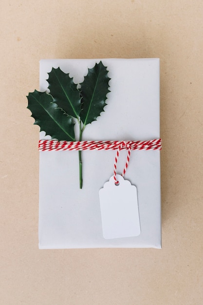 Foto gratuita caja de regalo blanca con folletos sobre mesa