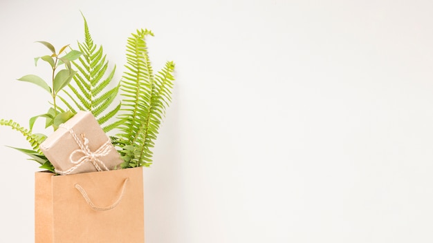 Una caja de regalo y hojas de helecho verde en una bolsa de papel marrón con espacio para texto