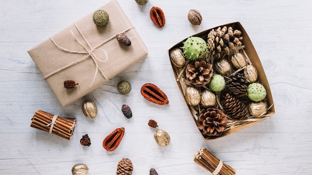 Cajas de cartón con conos y nueces