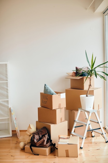 Foto gratuita cajas de cartón y planta en maceta en un apartamento nuevo