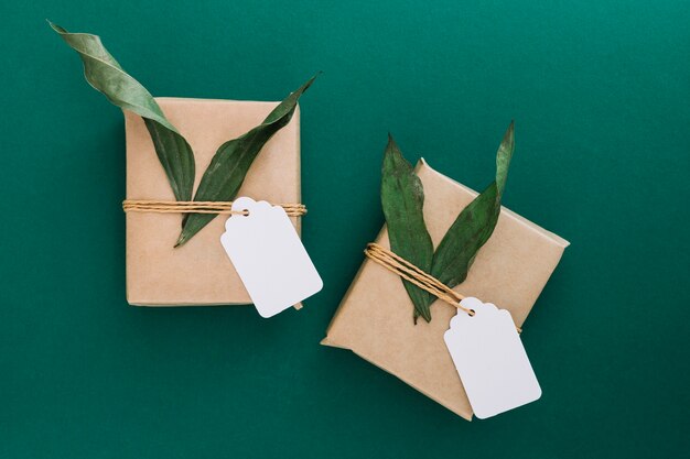 Cajas de regalo con etiqueta en blanco y hojas sobre fondo verde