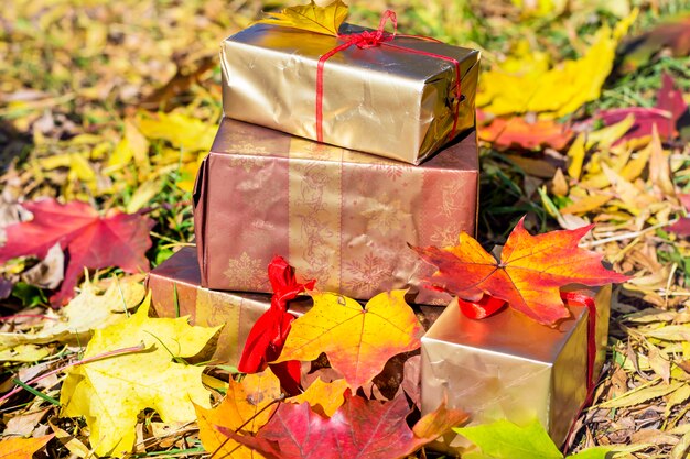 Cajas de regalo con hojas secas al aire libre