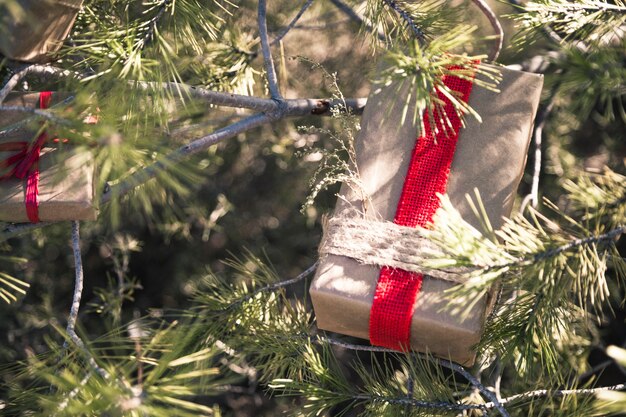 Cajas de regalo en la naturaleza