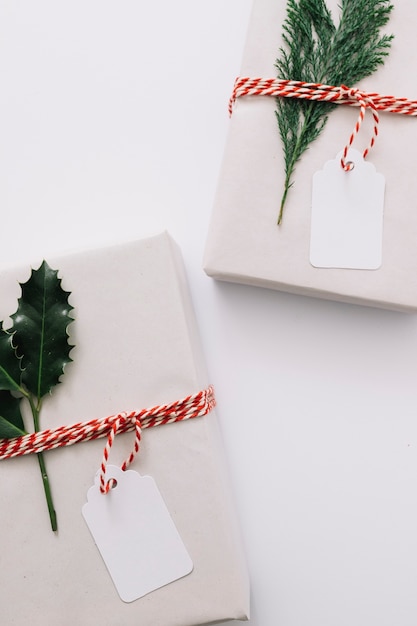 Cajas de regalo con plantas verdes.