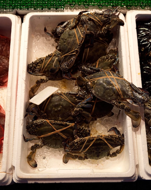 Cajón de primer plano de langostas frescas en el mercado de pescado