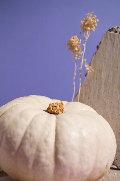 Calabaza blanca con ángulo alto de fondo púrpura