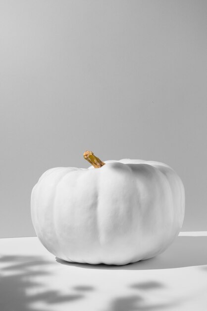 Calabaza blanca sobre fondo blanco de estudio