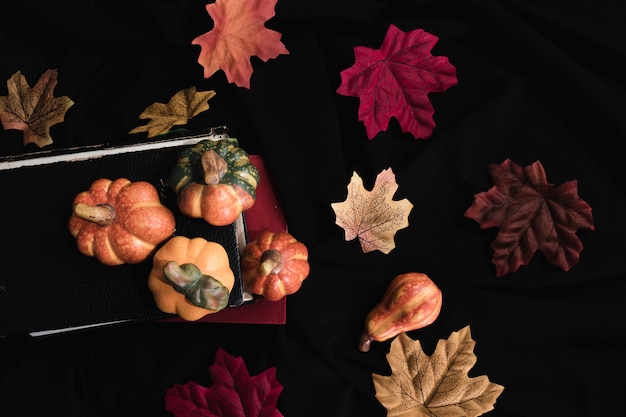 Calabaza y hojas de otoño sobre fondo negro