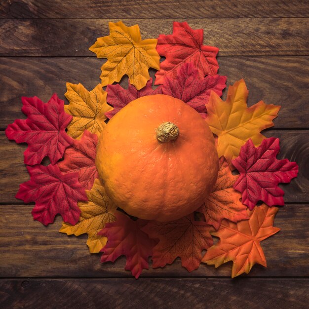 Calabaza en hojas de otoño