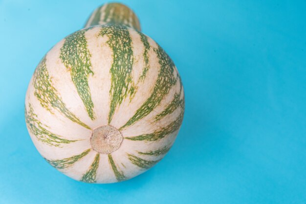 Calabaza en mesa sobre fondo azul.