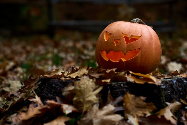 Calabaza naranja enojada con grandes ojos de miedo y sonrisa. Decoración hecha a mano preparada para Halloween. Celebrando las vacaciones de otoño en el bosque o parque cerca de casa entre hojas.