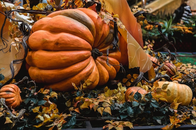 Calabaza naranja