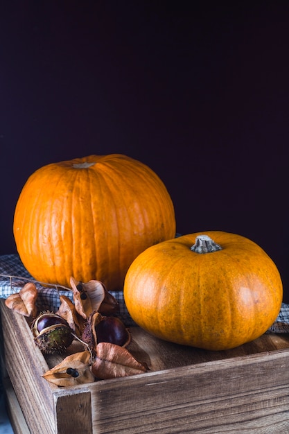 Calabaza orgánica y castaña en mesa de madera con fondo negro