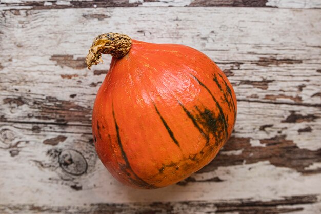 Calabaza pequeña linda endecha plana