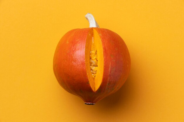 Calabaza plana como sistema reproductor femenino