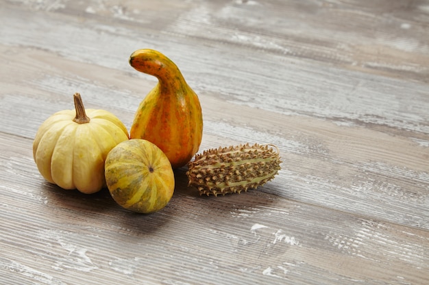 Calabazas auténticas en mesa de madera