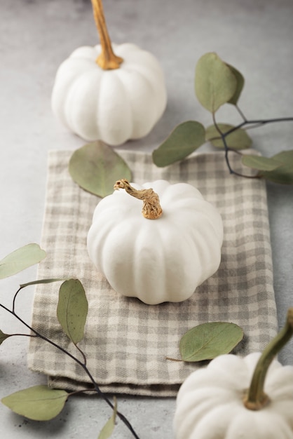 Foto gratuita calabazas blancas y hojas de alto ángulo.