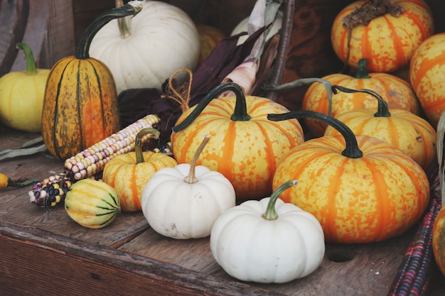 Foto gratuita calabazas blancas y naranjas en mesa de madera marrón