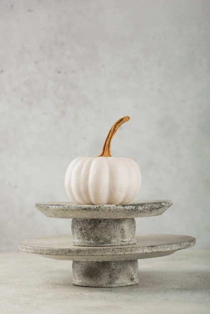 Foto gratuita calabazas blancas y platos de piedra