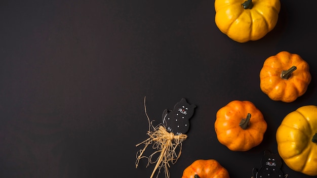 Calabazas frescas de naranja y gato de juguete